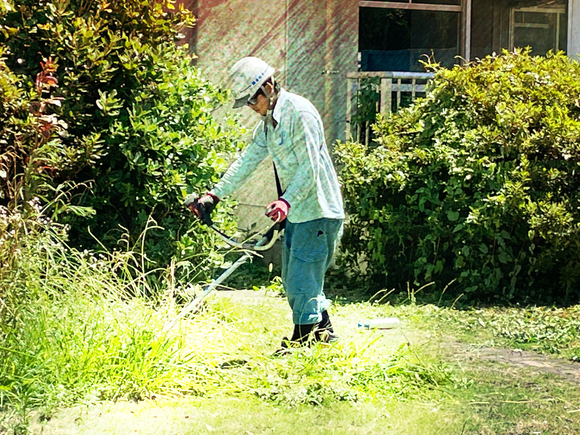 草刈り・草取り